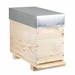 Ruchette complète Dadant 6C